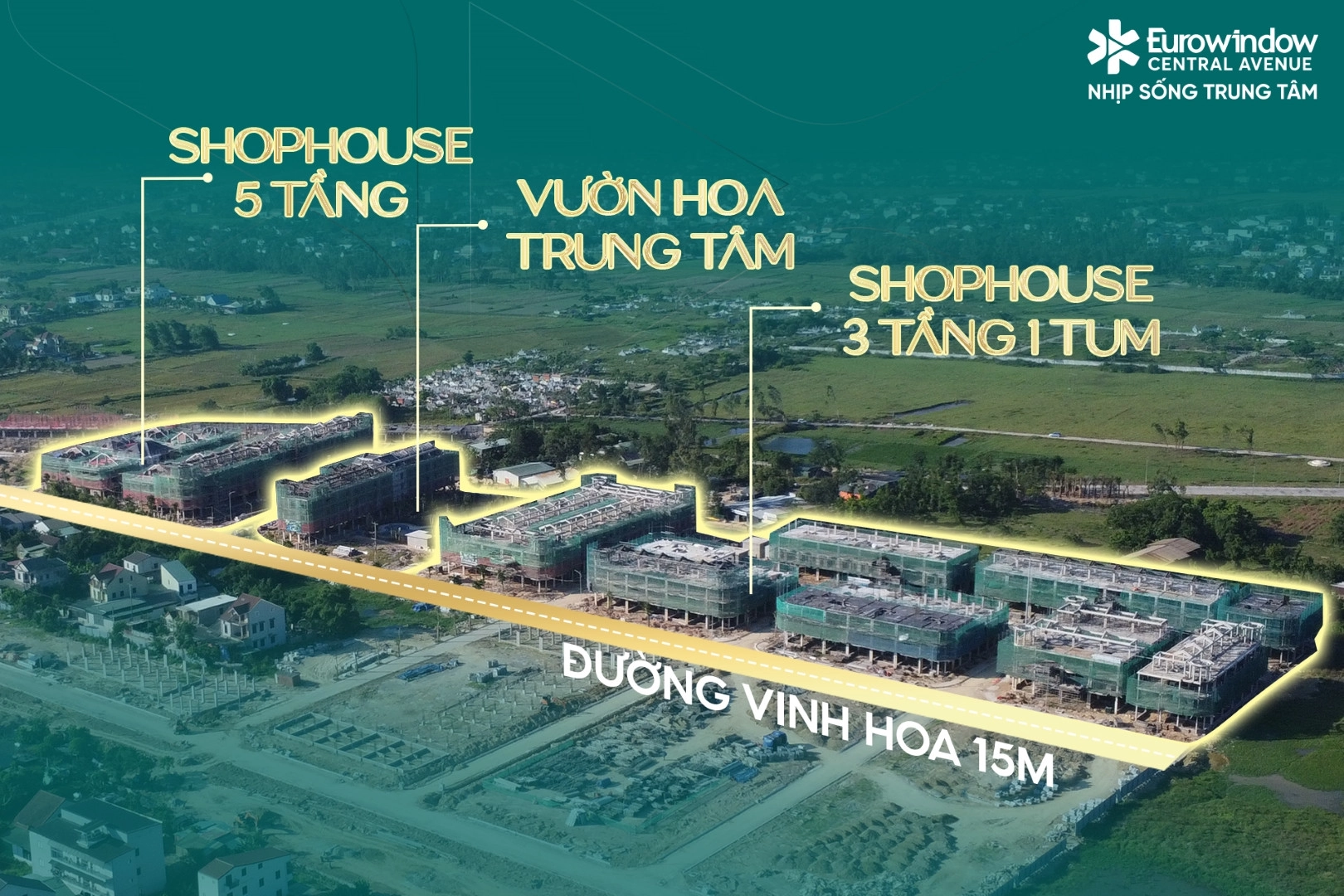 anh-2